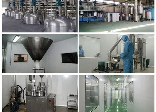 Factory Equipment