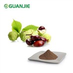 Konjski kostanj izvleček v prahu