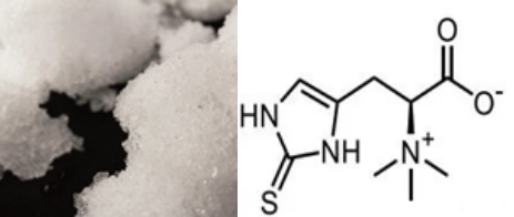 bulk ergothioneine bulk ergothioneine