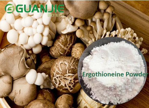 bulk ergothioneine powder bulk ergothioneine powder