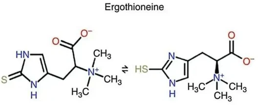 news-528-220 news-528-220